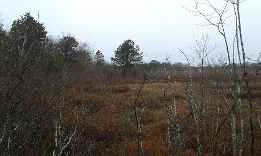 Golf Club «Swan Lake Golf Club», reviews and photos, 388 River Rd, Manorville, NY 11949, USA