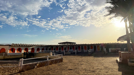 Sea Horse Sahl Hasheesh Hurghada