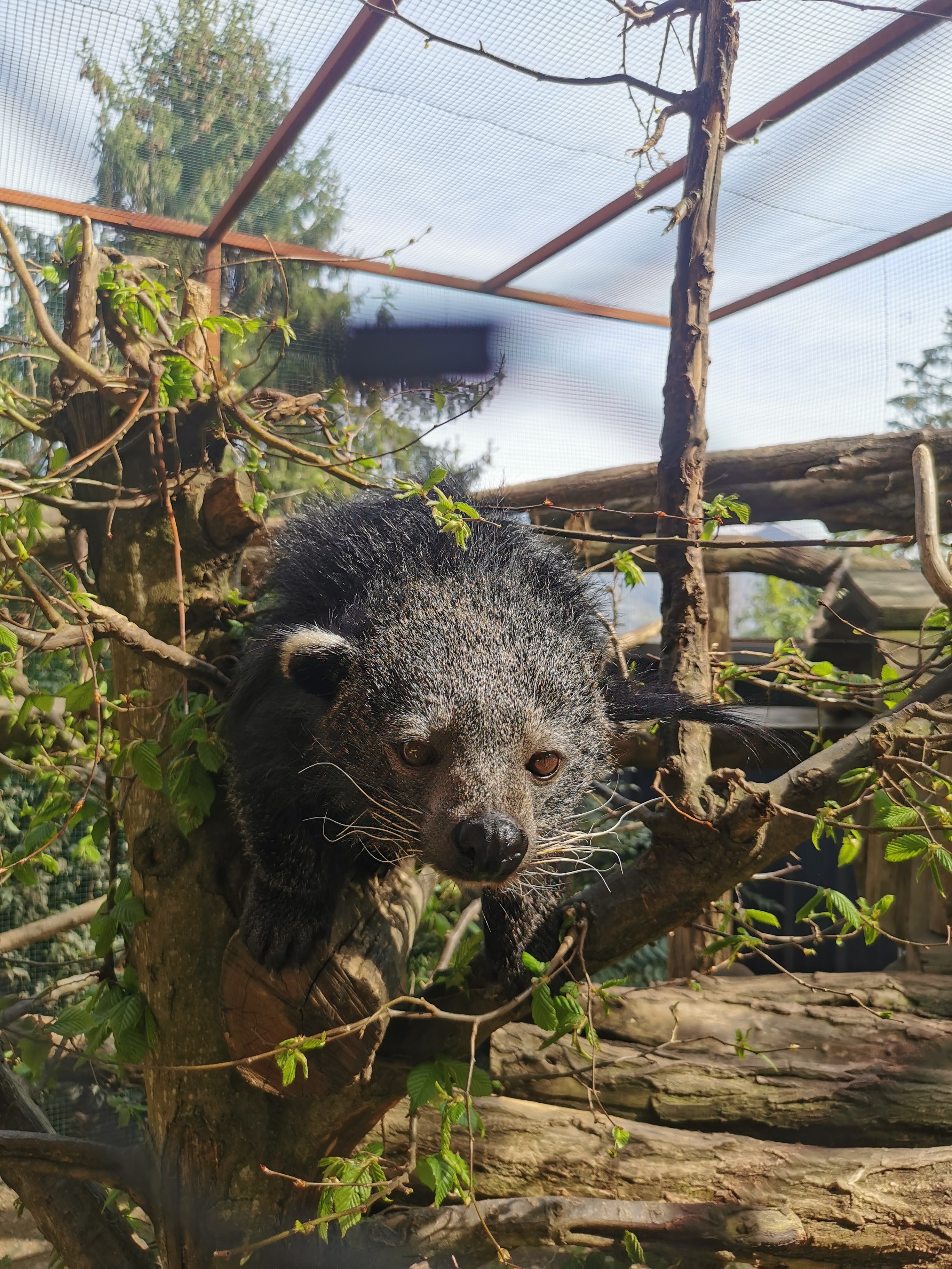 Photo n° 1 de l'avis de Boulay.i fait le 13/04/2023 à 09:53