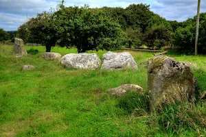 Castleruddery Stone Circle image