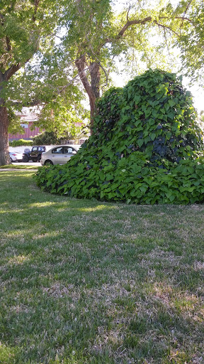 Banquet Hall «Lawlor Events Center», reviews and photos, 1664 N Virginia St, Reno, NV 89557, USA