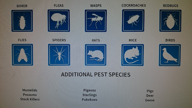 Comments and reviews of Pest Control, Nuisance Species Eradication Company Limited.