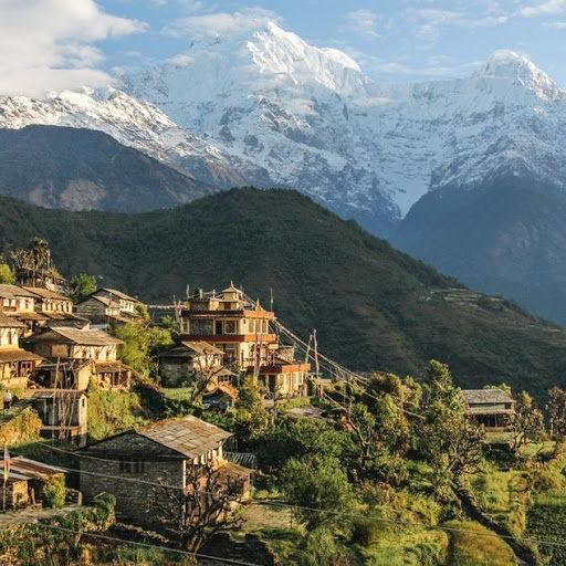 Travel Agency «Going Places Travel Agency», reviews and photos, 215 E Main St, Georgetown, KY 40324, USA