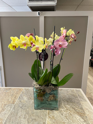 Florist «Blooms Of Wayne», reviews and photos, 2075 Hamburg Turnpike, Wayne, NJ 07470, USA