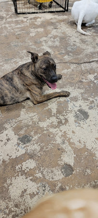 Kirkwood Bark & Lounge - Photo 8 - Car repair in Atlanta, GA, Atlanta