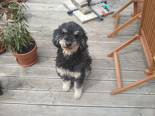 Tierarztpraxis Welzin unter Damshagen, 