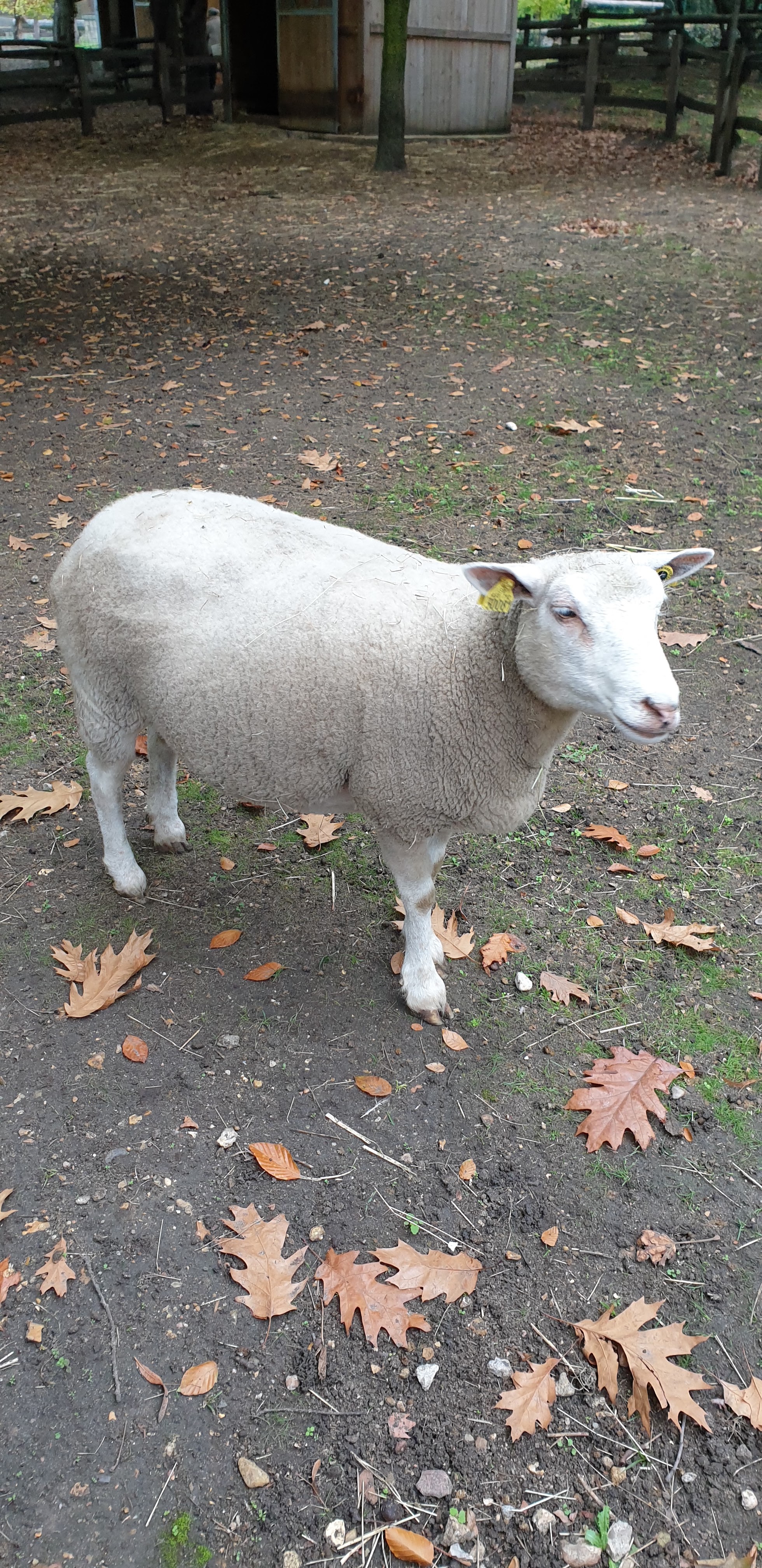 Photo n° 16 de l'avis de Julien.' fait le 23/10/2019 à 14:35