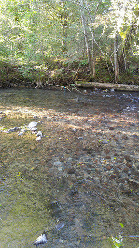 Convenience Store «Greenwater General Store», reviews and photos, 58120 WA-410, Enumclaw, WA 98022, USA