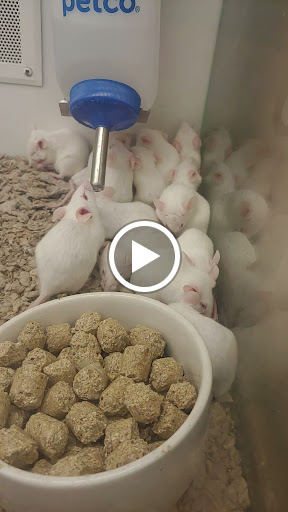 Pet Supply Store «Petco Animal Supplies», reviews and photos, 3637 2700 W, West Valley City, UT 84119, USA