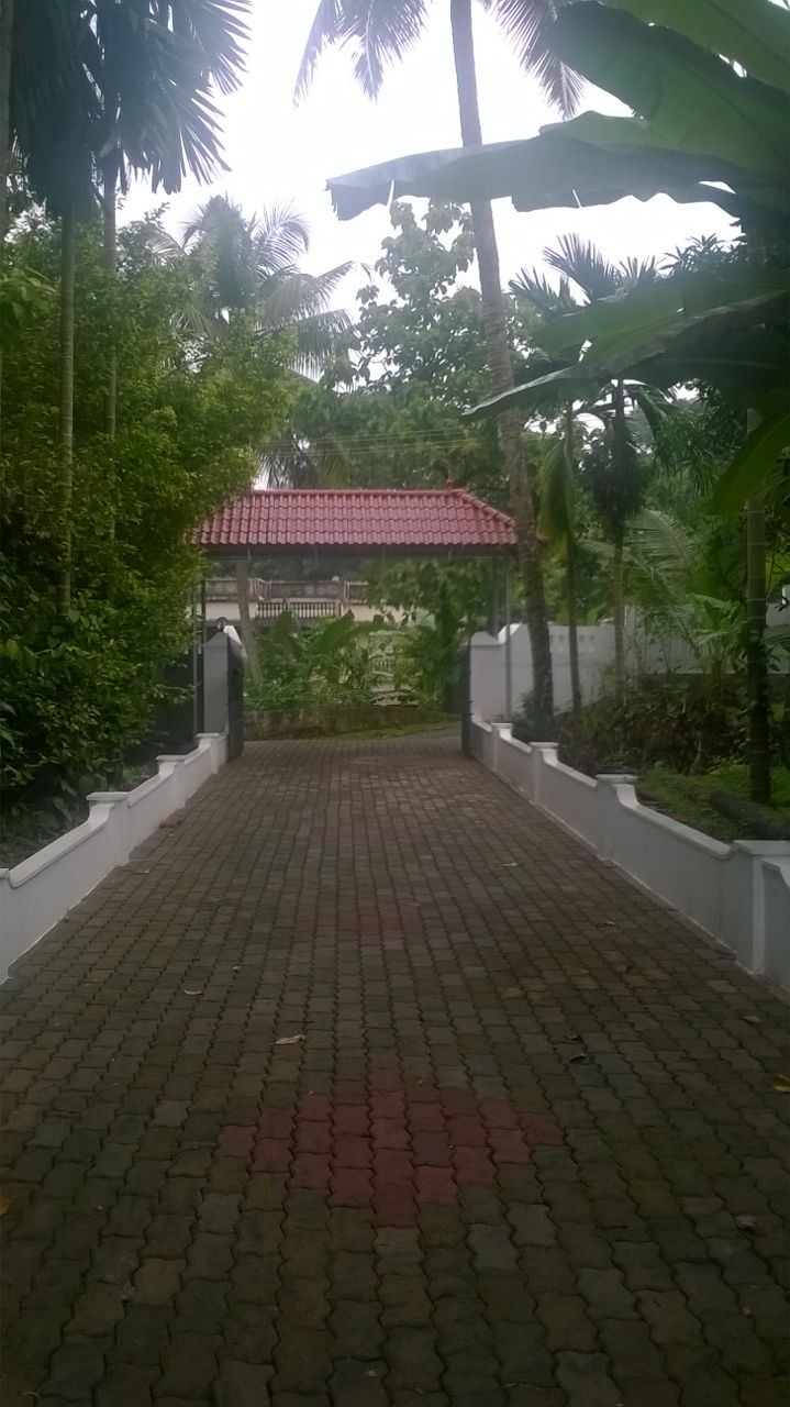 Thampi T.K
