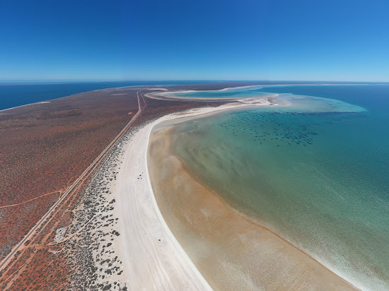 Shell Beach