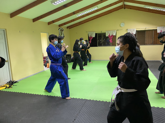 Opiniones de Kenpo karate vicuña en Vicuña - Escuela