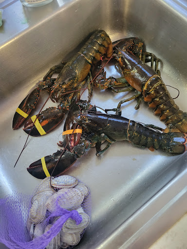 Seafood Market «Pine Tree Seafood & Produce», reviews and photos, 655 US-1, Scarborough, ME 04074, USA