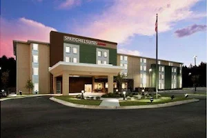 SpringHill Suites by Marriott Mobile image