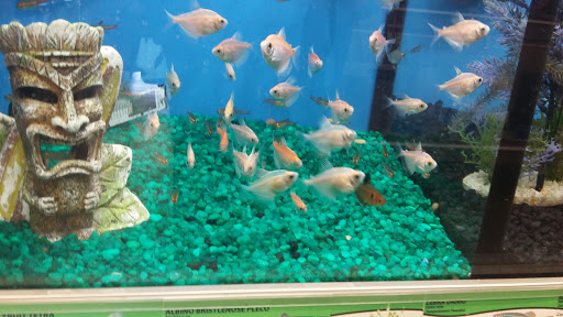 Pet Supply Store «Pet Supplies Plus», reviews and photos, 494 Westgate Dr, Brockton, MA 02301, USA