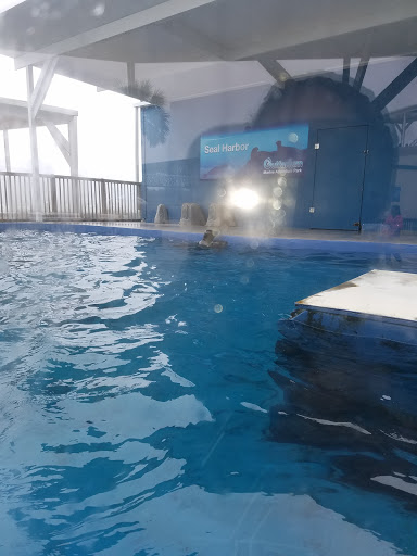 Sightseeing Tour Agency «Southern Star Dolphin Cruises», reviews and photos, 100 Harbor Blvd, Destin, FL 32541, USA