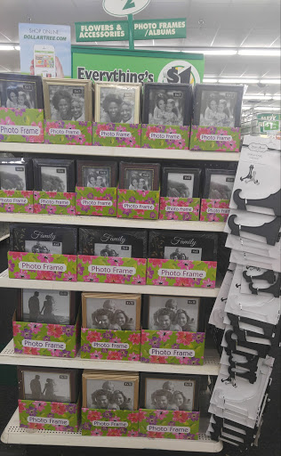 Dollar Store «Dollar Tree», reviews and photos, 8300 W Farm to Market Rd 78, Converse, TX 78109, USA