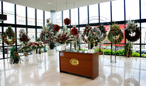 Vascongada Ehorzketak en Gipuzkoa