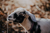 Stitched 88 LLC - Photo 7 - Car repair in , Lorain