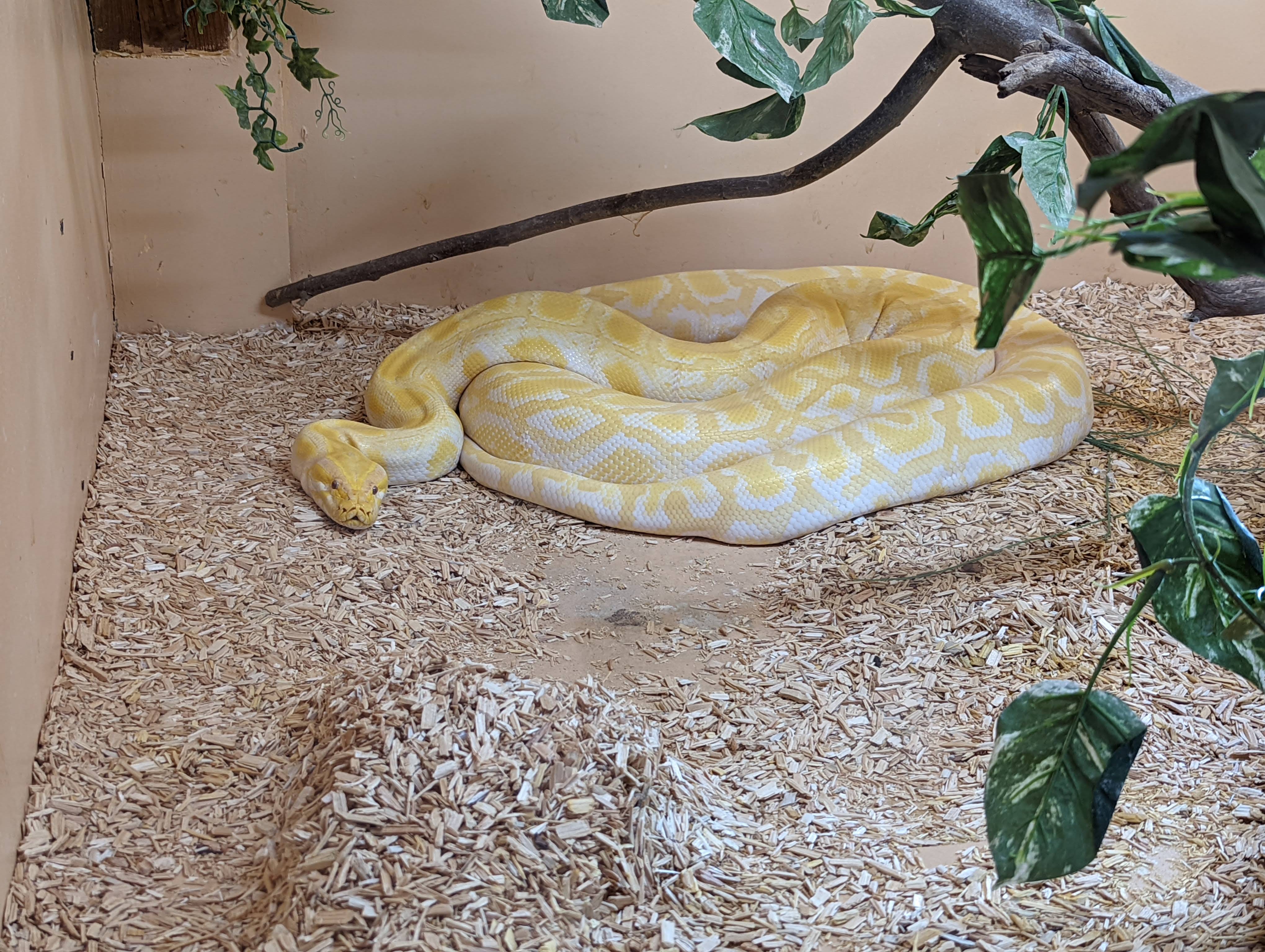 Photo n° 5 de l'avis de Mathieu.I fait le 07/05/2022 à 19:56