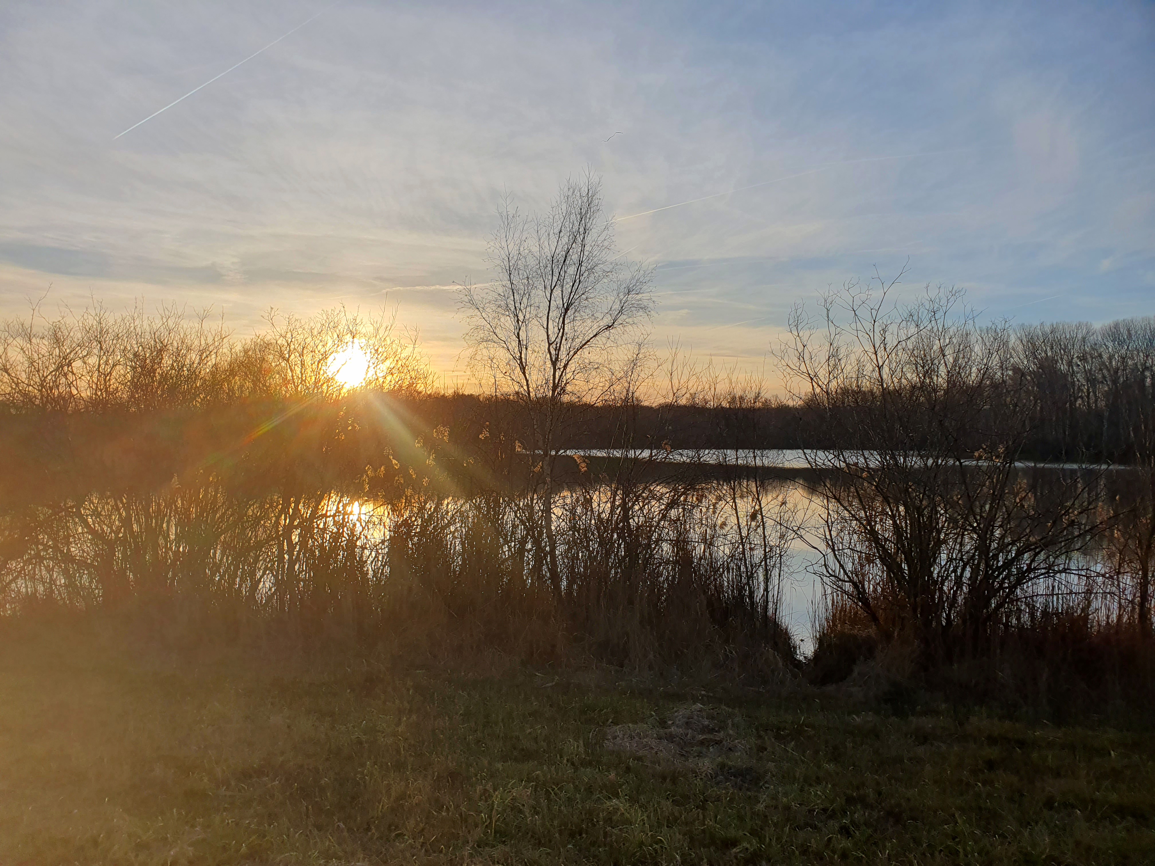 Photo n° 8 de l'avis de Albert.l fait le 27/01/2024 à 21:21