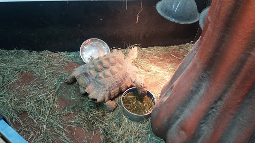 Pet Store «Pets Plus - Quakertown», reviews and photos, 117 S West End Blvd, Quakertown, PA 18951, USA