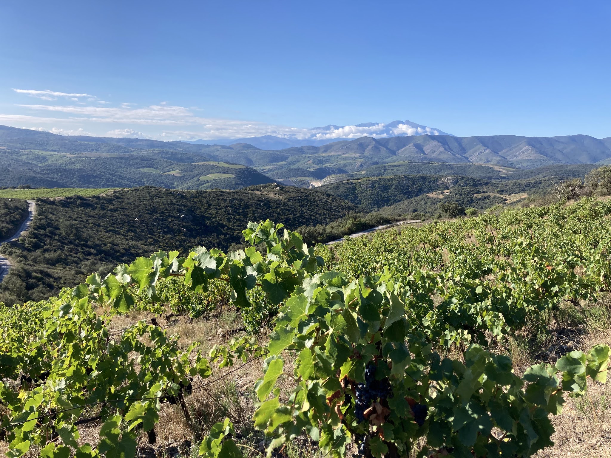 Photo n° 1 de l'avis de Gabriella.i fait le 10/10/2021 à 16:32