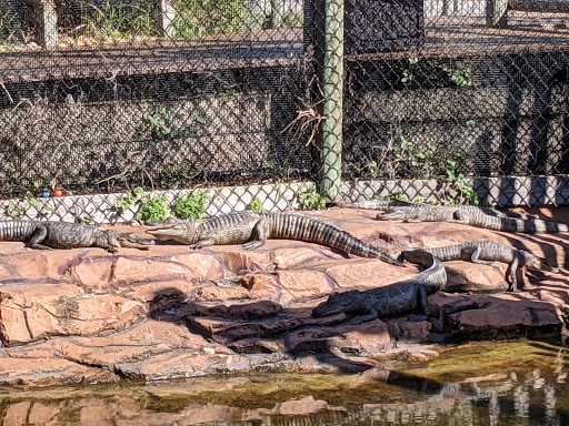 Miniature Golf Course «Golf N Gator», reviews and photos, 6355 N Atlantic Ave, Cape Canaveral, FL 32920, USA