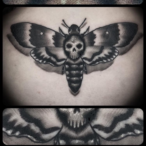 Explore jurassic park tattoo ideas, creative tattoo ideas in Houston, available at Houston Heights Tattoo & Piercing