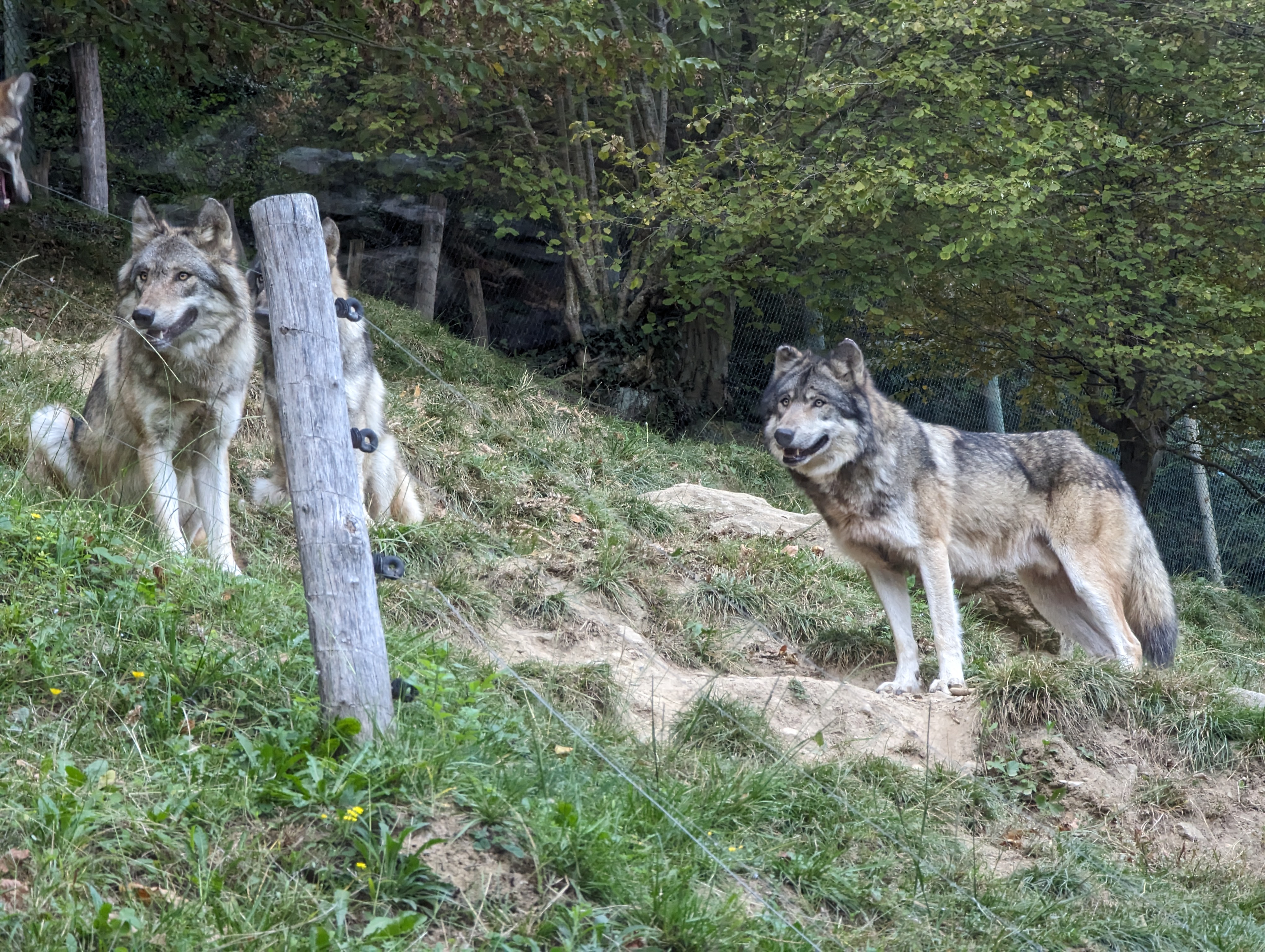Photo n° 9 de l'avis de Thibaud.l fait le 10/10/2023 à 07:10