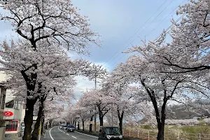 馬見ヶ崎川公園中央広場 image