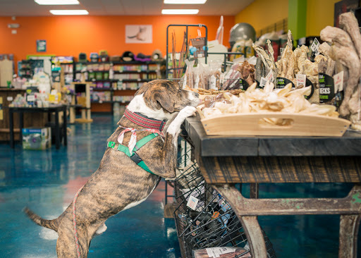 Pet Supply Store «Patton Avenue Pet Company- South», reviews and photos, 582 Hendersonville Rd #3, Asheville, NC 28803, USA