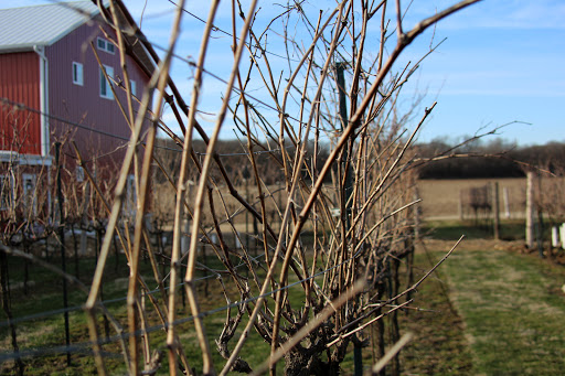 Winery «Staller Estate Winery», reviews and photos, W8896 County Rd A, Delavan, WI 53115, USA