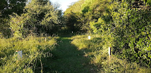 Arboreto Libertad Dr. Augusto García