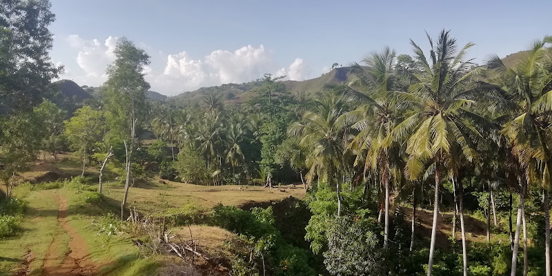 Gunung Unggut Alam terbuka Rekreasi