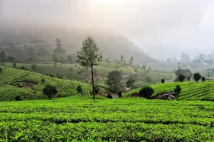 MUNNAR HILLS TOP VIEW POINT image