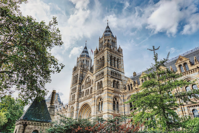 Natural History Museum / Cromwell Road (Stop GM) - London