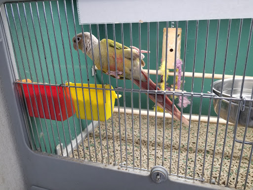 Pet Supply Store «Pet Club Santa Rosa», reviews and photos, 1935 Santa Rosa Ave, Santa Rosa, CA 95407, USA