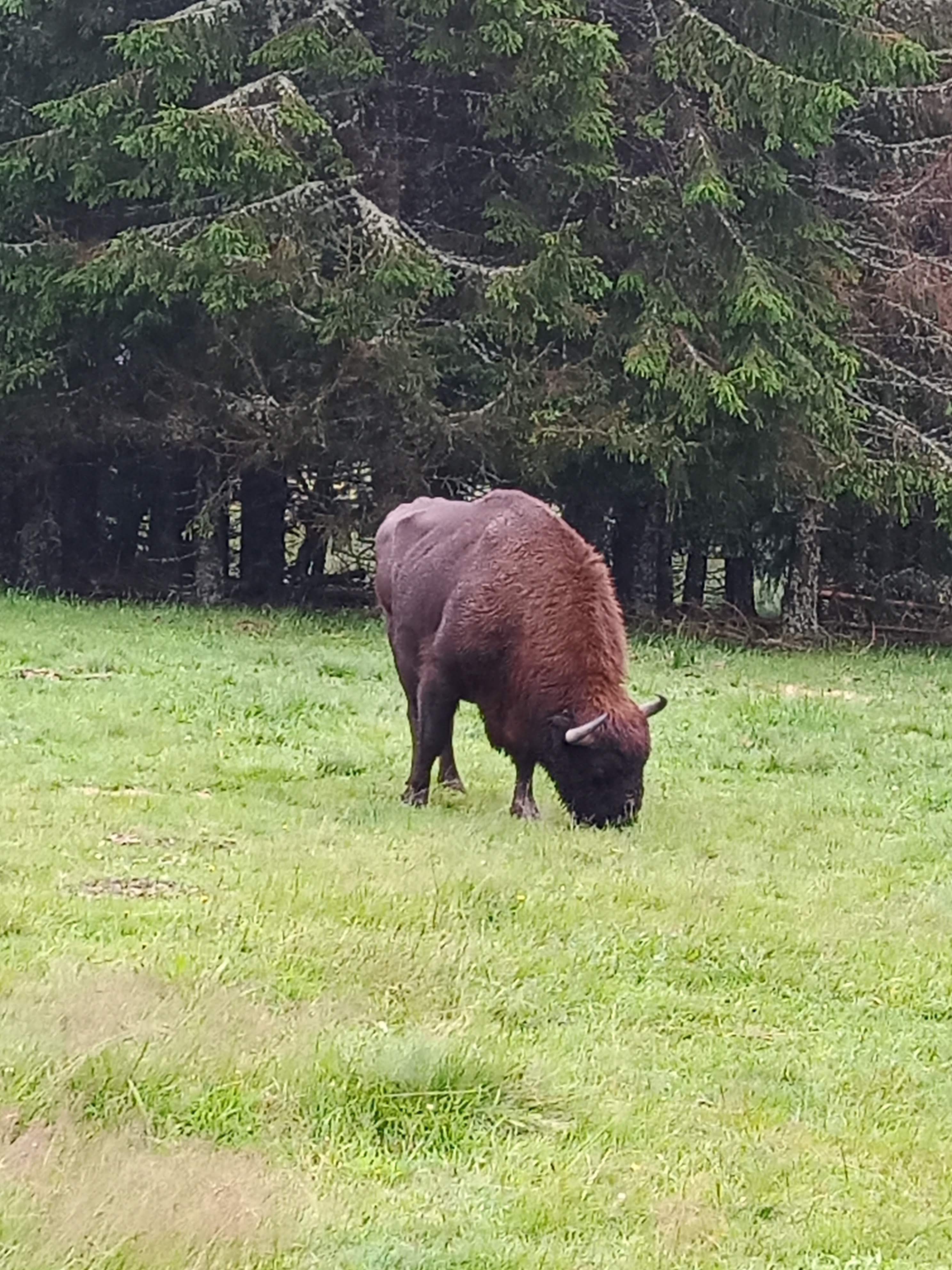 Photo n° 13 de l'avis de Marj.a fait le 18/07/2021 à 21:04