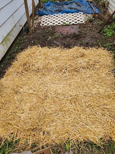 Pet Supply Store «Pet Needs Etc», reviews and photos, 5664 N Telegraph Rd, Dearborn Heights, MI 48127, USA