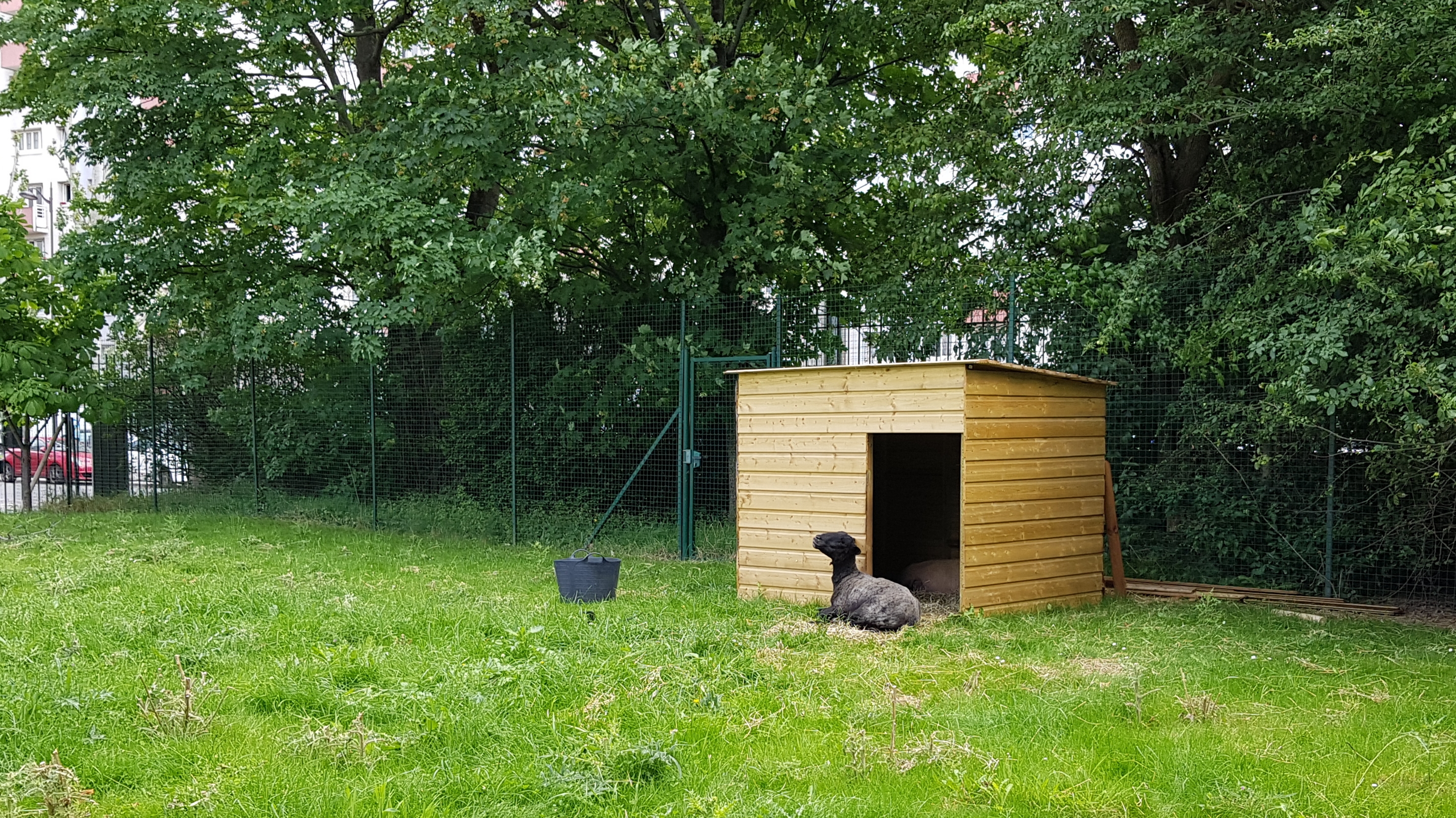 Photo n° 31 de l'avis de Jean-Marie.I fait le 27/05/2019 à 15:25