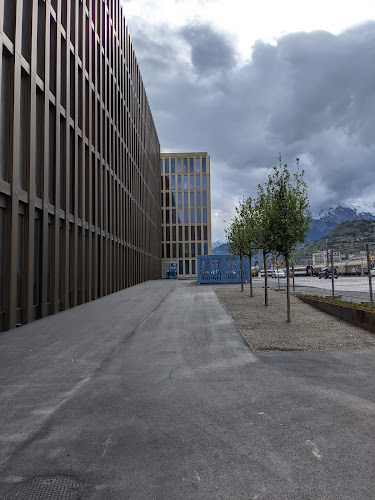 Haute Ecole d'Ingénierie de la HES-SO Valais-Wallis - Filière Technologies du vivant - Universität