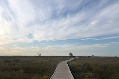 Headland Dunes State Nature Preserve