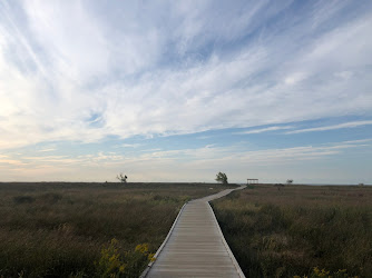 Headland Dunes State Nature Preserve