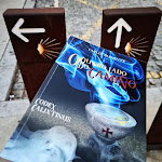 Photo n°2 de l'avis de Carlos.l fait le 02/11/2022 à 10:50 sur le  Confeitaria Ferreira à Matosinhos