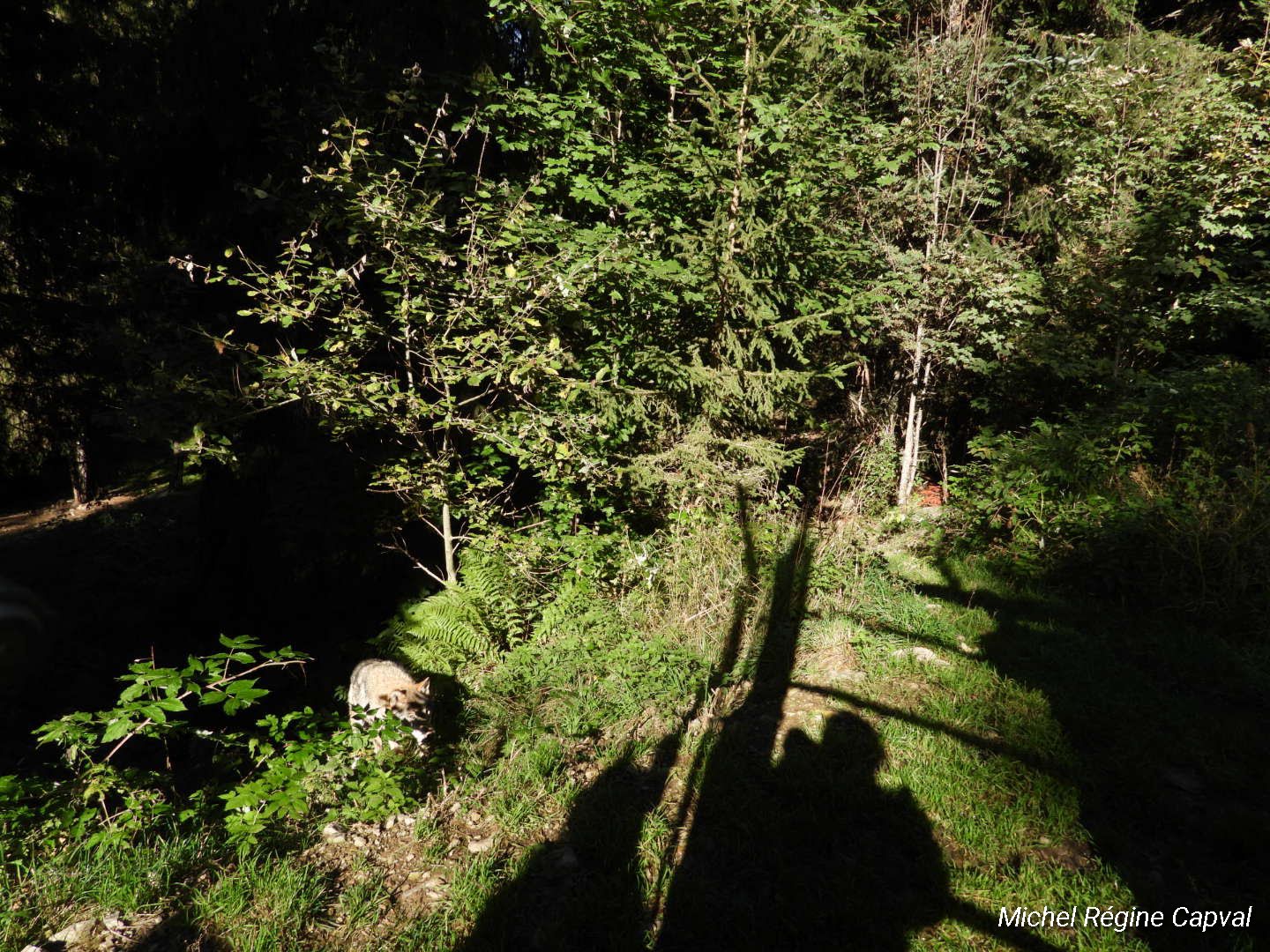 Photo n° 34 de l'avis de michel.a fait le 03/10/2019 à 13:25