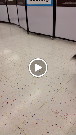 Pet Supply Store «Petco Animal Supplies», reviews and photos, 313 Homer M Adams Pkwy, Alton, IL 62002, USA