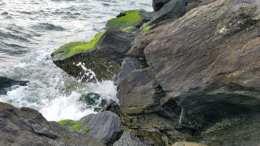 Park «Guardian Park», reviews and photos, Hartshorne Dr, Sandy Hook, NJ 07732, USA