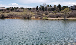 Bingham Lake