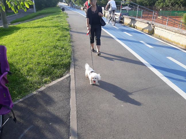 Opinii despre Tenis Club Intersport Arad în Arad - Sala de Fitness